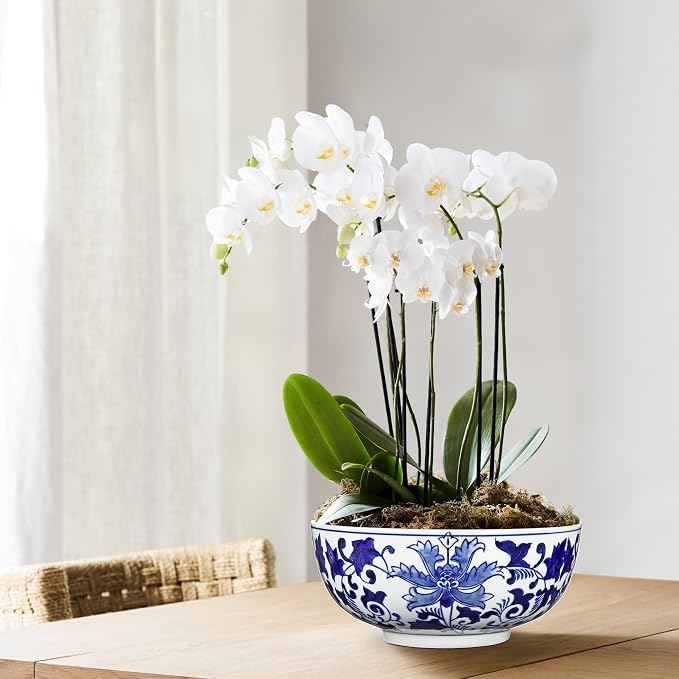 Hollyone Blue and White Vase Porcelain Planters 7 Inch Garden Bowl Modern Ceramic Pots Classic Chinese Floral Vase for Indoor Outdoor Succulents Bonsai Fairy Gardens Herbs