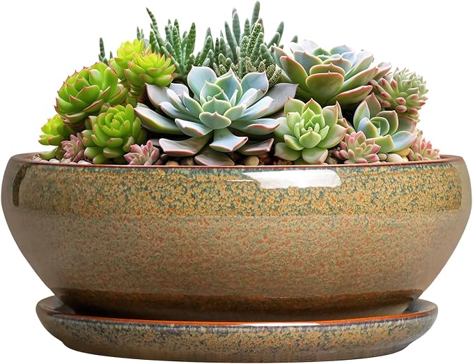 SQOWL Succulent Pots - 8 Inch Ceramic Bonsai Pots, Round Shallow Planter with Drainage Hole and Saucer, Succulent Indoor Planter, Bowl Planters Outdoor, Apartment Decor, Gifts for Women, Brown