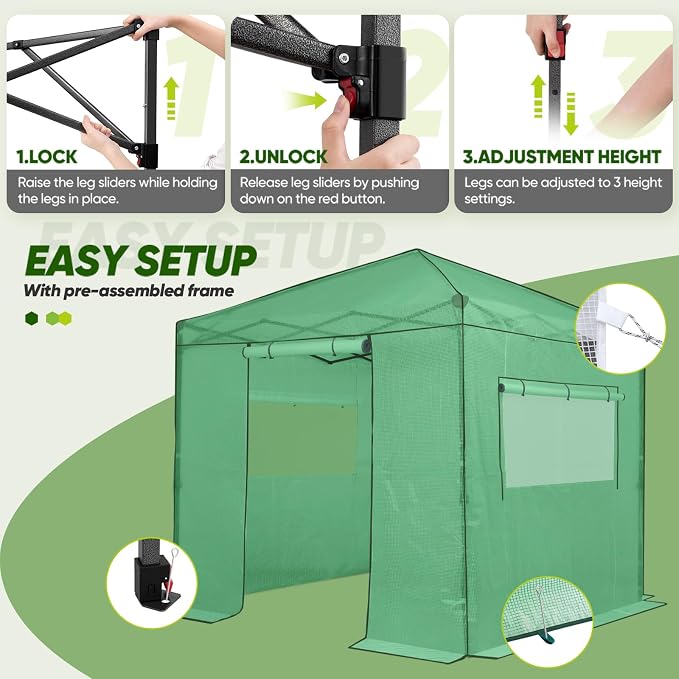 EAGLE PEAK 8x8 Portable Walk in Greenhouse, Pop Up Indoor Outdoor Greenhouse, Green House Kit with Zippered Roll-Up Doors and Windows, PE Cover, Clear/Green