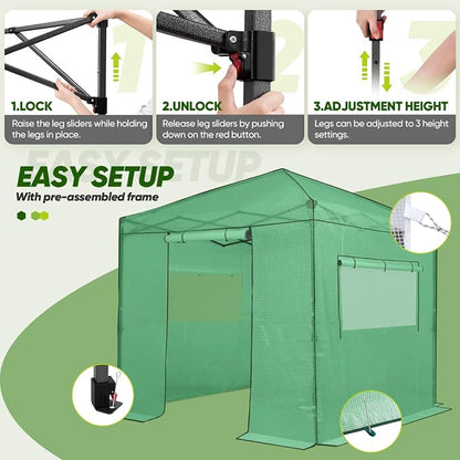 EAGLE PEAK 8x8 Portable Walk in Greenhouse, Pop Up Indoor Outdoor Greenhouse, Green House Kit with Zippered Roll-Up Doors and Windows, PE Cover, Clear/Green
