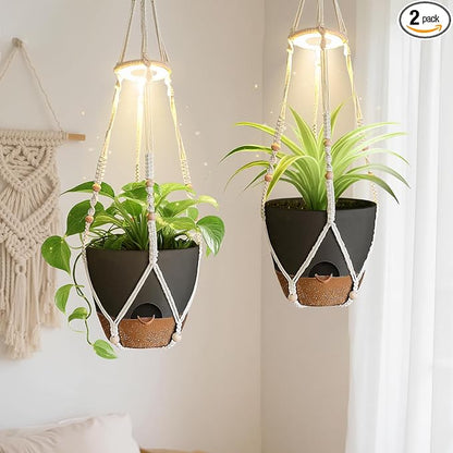 2 Pack Self Watering Hanging Planters with Grow Light for Indoor Plants | 10 Brightness, 3 Light Modes, 3/9/12H Timer, Built-In Reservoir, Drainage Holes, 10 in Pots