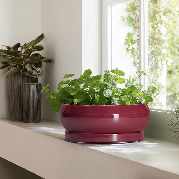 Bonsai Tree Pots 13 Inch - Ceramic Bonsai Pots with Drainage Hole and Tray, Large Succulent Planters Indoor, Round Bowl Planter Outdoor, Shallow Planter, House Decor, Birthday Gifts, Wine Red