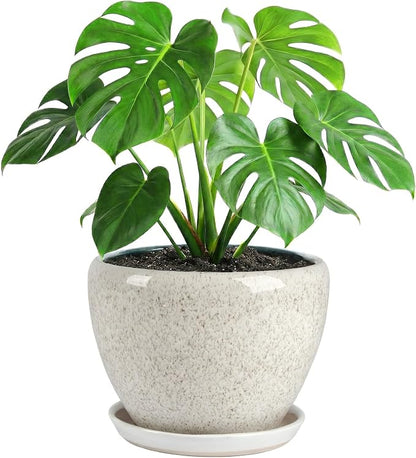 10.2 Inch Ceramic Planter with Saucer Leak-Proof Mesh &Drainage, Round Plant Pot with Gardening Gloves for Indoor Outdoor Plants