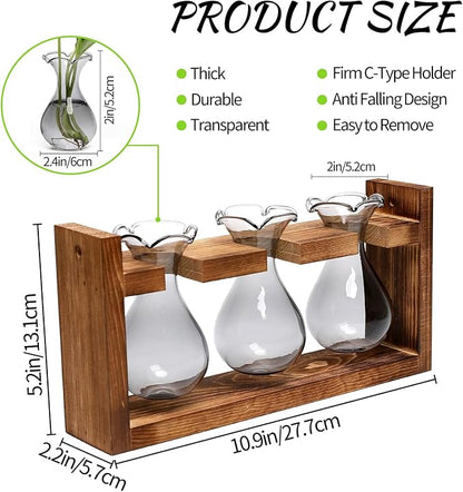 Plant Propagation Station Plant Terrarium Unique Birthday Gifts for Women | Plant Lovers Home Office Decor Planter with Wooden Stand - 3 Bulb Glass Vase