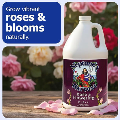 Neptune's Harvest Rose & Flowering Fertilizer (2-6-4) - 1 Gallon - Organic Liquid Rose Food for Vibrant Blooms & Growth - Promotes Healthy Foliage - Ideal Fertilizer for Indoor & Outdoor Use