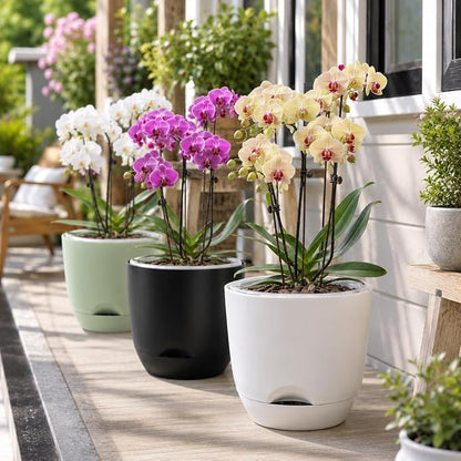 QCQHDU 5.7Inch Orchid Pots with Holes for Repotting, Double-Layer Plastic Self Watering Flower Pots for Indoor Plants with Drainage Holes, Clear Orchid Pot Match Decorative Orchid Container, 5 Packs