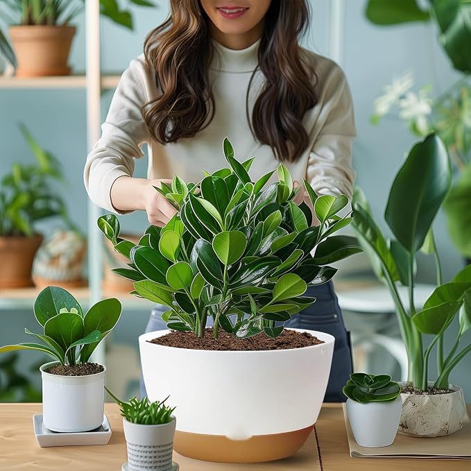 Koalaime 8/10/12 Inch Pots for Indoor Plants, Large Self Watering Planters with Drainage and Saucers, Plastic Outdoor Flower Pot, Set of 3, White