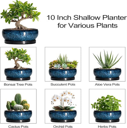Bonsai Tree Pots 10 Inch - Ceramic Succulent Pot with Drainage Hole and Saucer, Bonsai Pots for Indoor Outdoor, Round Succulent Planter, Shallow Planter, Desk Decor, Plant Lover Gifts, Blue