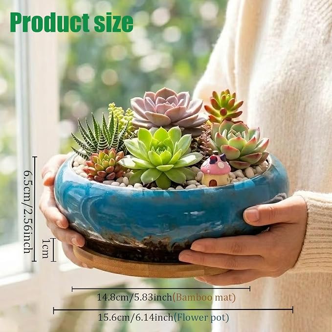 Drzewo Succulent Pots, Succulent Pots with Drainage & Bamboo Tray, 7-Inch Ceramic Drip Glazed Shallow Planter Container Bowl for Indoor Outdoor Plants, Decorative Garden Cactus Flower