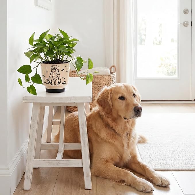 Ceramic Planter 5 Inch Plant Pots Indoor Succulent Plant Pot Cute Flowerpot | Unique Dog Pattern