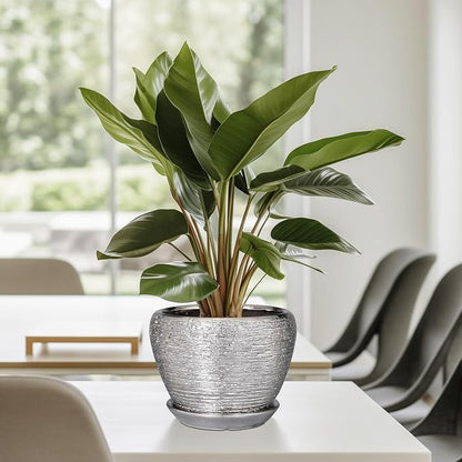 Ceramicfor Ceramic Planter - 6 Inch Plant Pot Indoor with Drainage Hole and Saucer Outdoor Pot for Plants Round Decorative Planter Modern Mid-Century Flower Pot for Office Decor Silver
