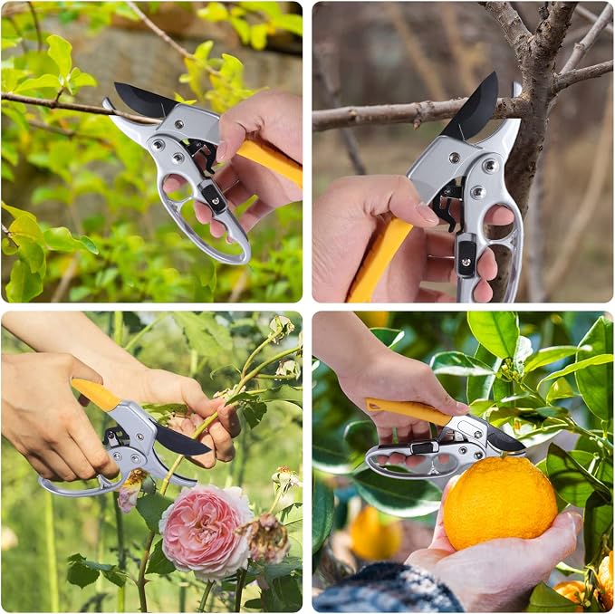 Premium pruning shears for gardening, Work 3 times easier, Pruners heady duty, Sharp garden clippers cuting florist flower, hedge, herb, rose, Indoor live plants, Arthritis weak hand snips