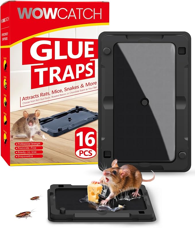 WowCatch Sticky Mouse Traps Indoor for Home - 16 Pack Glue Traps for Mice, Roaches, Rodent Catcher for Kitchen,Garage, Sticky Glue Boards for Insects, Pet Safe Pest Control, Non-Toxic, Small Size