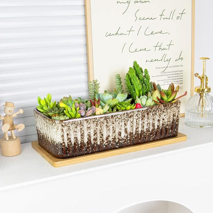 Succulent Pots - 12 Inch Large Succulent Planters with Drainage Tray, Window Sill Planter, Long Rectangle Ceramic Pots for Indoor Cactus Plants Shallow Bonsai Window Box for Home Garden Decor