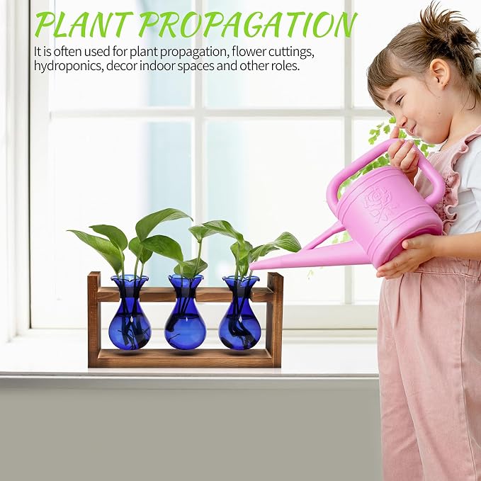 Plant Propagation Station Plant Terrarium Unique Birthday Gifts for Women | Plant Lovers Home Office Decor Planter with Wooden Stand - 3 Bulb Glass Vase