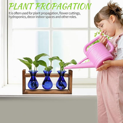 Plant Propagation Station Plant Terrarium Unique Birthday Gifts for Women | Plant Lovers Home Office Decor Planter with Wooden Stand - 3 Bulb Glass Vase