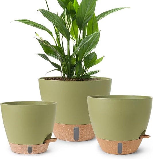 Self Watering Pots for Indoor Plants, 3 Pack 12/10/8 Inch, Large Planter with Water Reservoir, Modern Decorative Flower Pots for Home & OfficeGreen