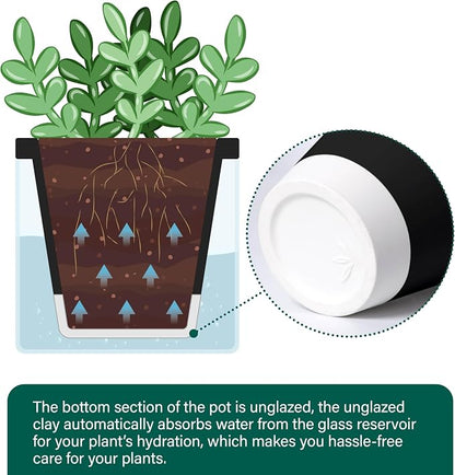 D'vine Dev 4 Inch Design Self Watering Planter for Indoor Plants, Black Terracotta Pot with Cylinder Glass Cup, Set of 4, 37-Z-A-3-F