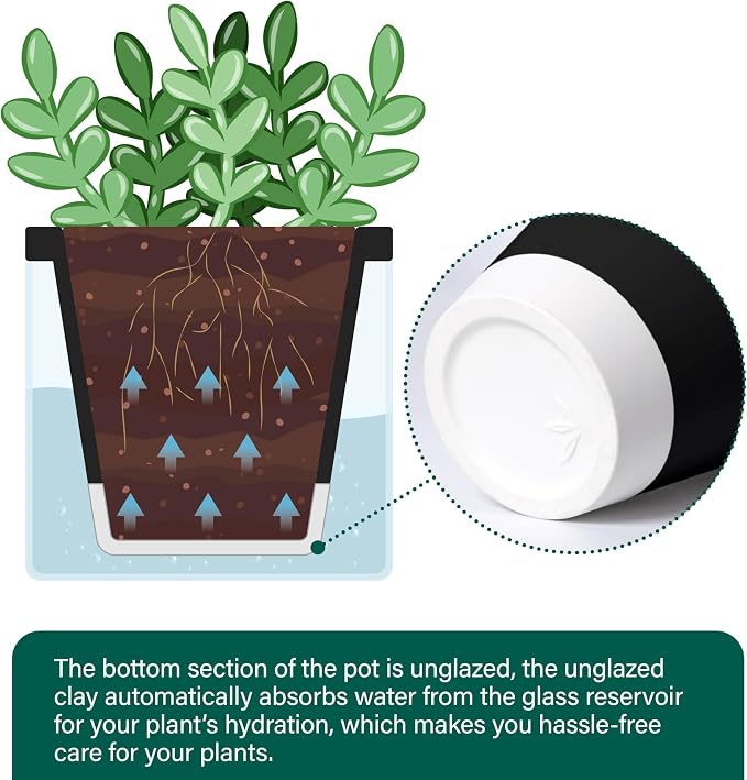 D'vine Dev 4 Inch Design Self Watering Planter for Indoor Plants, Black Terracotta Pot with Cylinder Glass Cup, 37-X-A-3