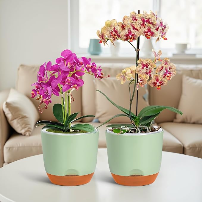 QCQHDU 5.7Inch Orchid Pots with Holes for Repotting, Double-Layer Plastic Self Watering Flower Pots for Indoor Plants with Drainage Holes, Clear Orchid Pot Match Decorative Orchid Container, 3 Packs
