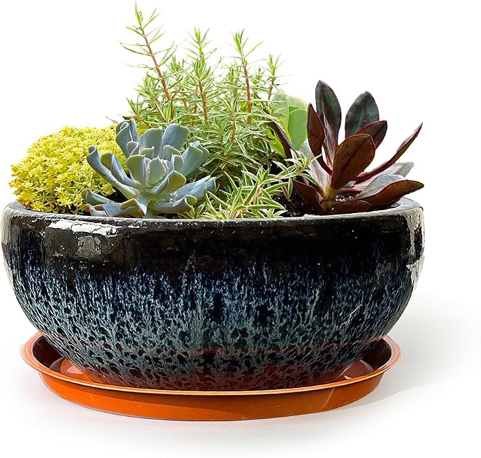 11 Inch Glazed Terracotta Plant Pot Round Ceramic Succulent Planter Pot with Drainage and Mesh Pad Cactus Clay Bonsai Pot (Blue)