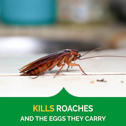 Hot Shot Ultra Clear Roach & Ant Gel Bait, 2.5 Ounces, Water-Based Gel Bait Dries Clear To Kill Roaches And Ants Indoors, Works In Minutes To Kill Queen And Entire Ant Colony, Roaches And Eggs