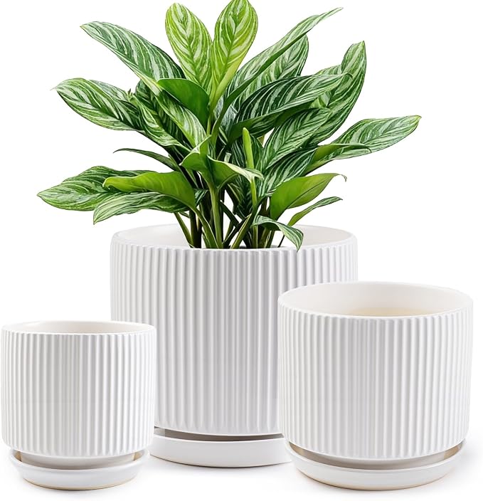 Ceramic-Flower-Pots-Sets-with-Saucer, 5/6/8 inch Small Planters for Indoor Plants with Drainage Hole, White Vertical Stripe Plant Pots for Home Decor, Outdoor Garden Pot For Succulent Cactus Herb