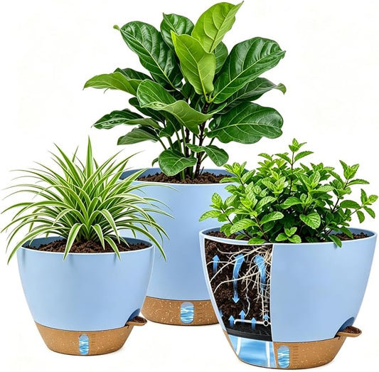 Ecolley 8/10/12 Inch Self Watering Pots for Indoor/Outdoor Plants - Large Plastic Planter with Drainage Holes, Water Level Indicator & Deep Reservoir, Modern Decorative Flower Pots (Light Blue) | Indoor/Outdoor Plants, Large Plastic Planter, Drainage H...