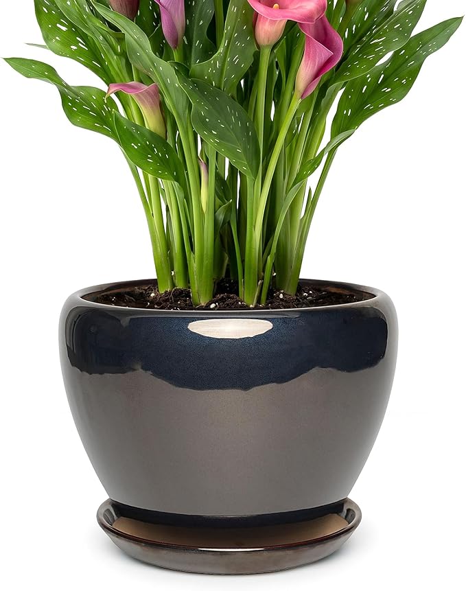 9.5 Inch Ceramic Plant Pot with Drainage Hole Mesh Net,Modern Gardening Pots for Indoor Plants with Saucer, Black