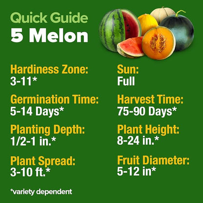 HOME GROWN Melon Seeds 5 Variety Mix 115+ Heirloom Non-GMO, High Germination, Watermelon Sugar Baby, Cantaloupe, Honeydew, Sweet & Juicy Summer Fruit, Indoor Outdoor Garden (Cucumis melo/Citrullus)