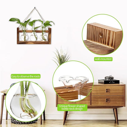 Plant Propagation Station Plant Terrarium Unique Birthday Gifts for Women | Plant Lovers Home Office Decor Planter with Wooden Stand - 3 Bulb Glass Vase