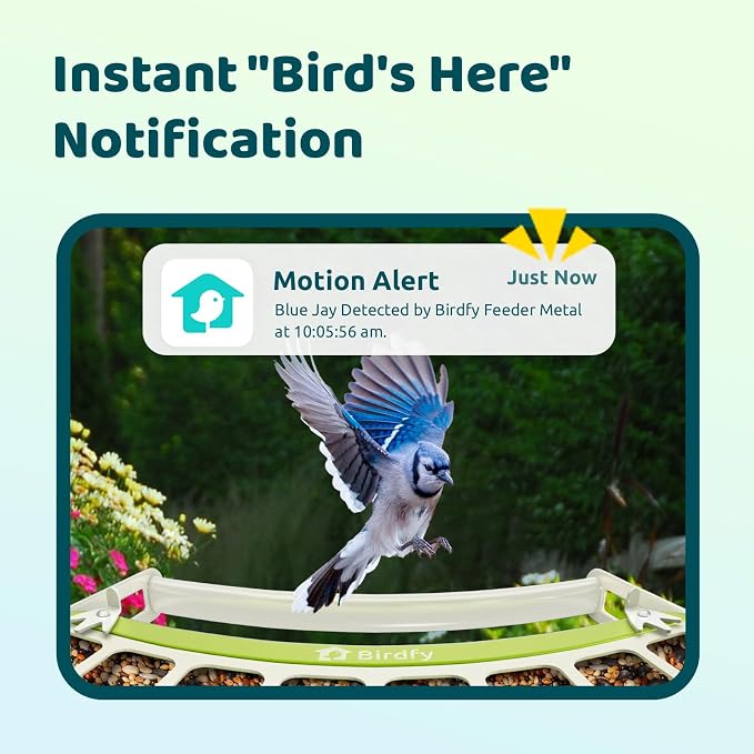 Birdfy Smart Bird Feeder with Camera, Durable Metal Feeders for Outdoors, Auto-Identify & Record Video, Instant Alert, Live Bird Watching Camera Solar, Gifts for Backyard Birder (AI Lifetime Free)