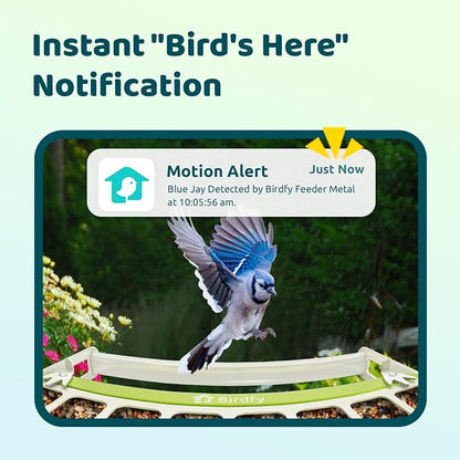 Birdfy Smart Bird Feeder with Camera, Durable Metal Feeders for Outdoors, Auto-Identify & Record Video, Instant Alert, Live Bird Watching Camera Solar, Gifts for Backyard Birder (AI Lifetime Free)