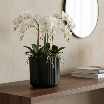 Set of 2 self Watering Ceramic pots for Indoor Plants with 5 inch Clear Inner Pot (Black, 5 inch)