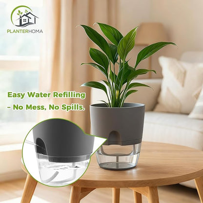 3 Pack Self Watering Pots for Indoor Plants, PlanterHoma 6 Inch Plant Pot Plastic Self Watering Planter for Orchid, African Violet, Small Clear Flower Pots with Drainage Holes and Wicking Rope, Grey