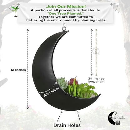 Black Hanging Moon Planter with Drain Holes - Moon Room Decor - Unique Planters for Succulents,Air Plant, Cactus, Artificial Plants- Plant Lover Gifts - Boho,Hippie, Birthdays,Witchy Gifts for Women