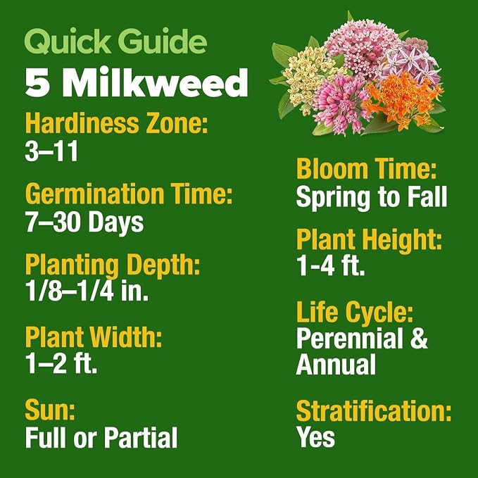 HOME GROWN Milkweed Flower Seeds - 500+ Heirloom Perennial Wildflower Seeds (5 Individual Varieties) Supports Monarch Habitat, Grows in Zones 3-11 (Asclepias syriaca)