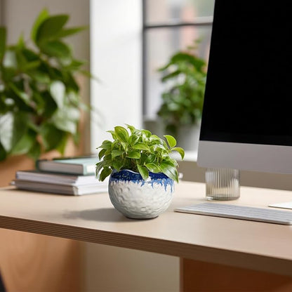 4 Inch Plant Pots - Ceramic Pots for Plants with Drainage Hole and Plug, Round Planters for Indoor Outdoor Plants, Modern Unique Flower Pots, Home Living Room Decor, Garden Gift, Beige-Blue