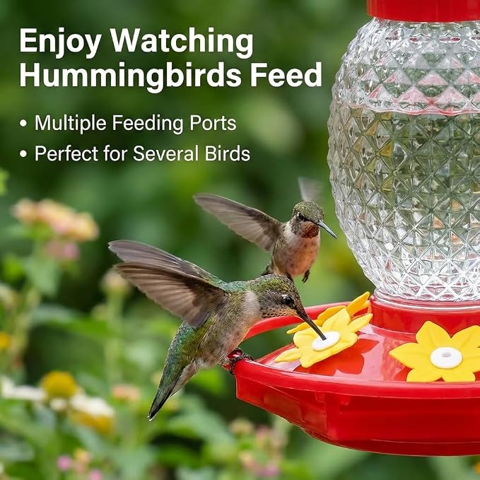Fchstaer Glass Hummingbird Feeders for Outdoors Hanging 16oz 2 Pack Clear Pineapple Bee & Ant Proof 360°Perch Leakproof Easy Clean with 6 Feeding Ports Gifts for Mom