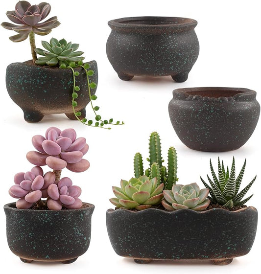 Retro Ceramic Succulent Garden Pots Small Plant Planter Container with Drainage Set of 5 for Home Office Decor