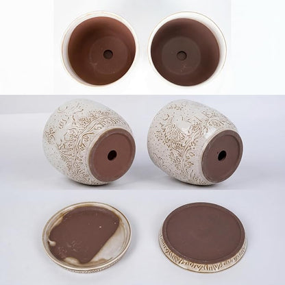 Claybourne Embossed Terracotta Plant Pots with Drainage Hole & Saucer, 4/6/8 Inch, Indoor/Outdoor Planter with Pebbles (White（Forest Elf）, 6 inch)