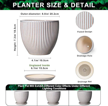 Ceramic Planters for Plants, 8 Inch Flower Pot with Drainage Hole and Saucer, Round Plant Pots for Indoor Plants, Modern Decorative Planter, Home Garden Decor, Gifts for Plant Lovers, Grey