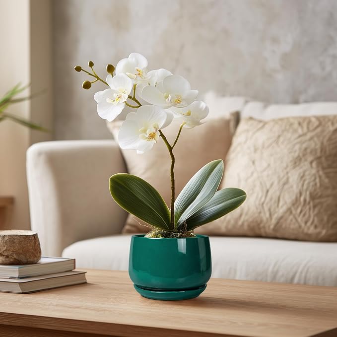 G EPGardening 4 inch Plant Pots - Small Ceramic Planter with Drainage Hole & Tray, Succulent Pots Indoor Outdoor, Round Modern Planter, Decorative Flower Pot, Desk Decor, Gifts for Plant Lover, Green