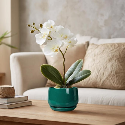 G EPGardening 4 inch Plant Pots - Small Ceramic Planter with Drainage Hole & Tray, Succulent Pots Indoor Outdoor, Round Modern Planter, Decorative Flower Pot, Desk Decor, Gifts for Plant Lover, Green
