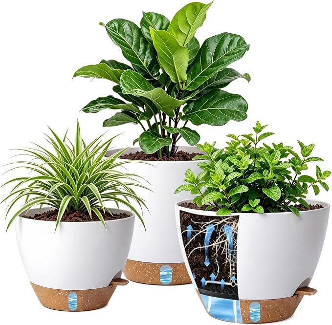 Ecolley Self-Watering Pots for Indoor Plants 3 Pack, 8/10/12 Inch Outdoor Planters with Water Level Indicator & Deep Reservoir, Decorative Flower Pots for Home Decor (White, 8+10+12 Inch) | Water Level Indicator, Deep Reservoir, Outdoor Planters, Decor...