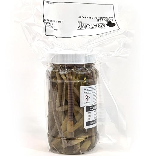 Anatomy Lab Preserved Earthworm Specimens for Dissection | Worm Dissection for Biology Classroom, Large 8-10 Inches, Vacuum Packed, 100 pack