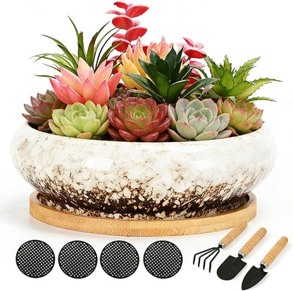 Drzewo Succulent Pots, Succulent Pots with Drainage & Bamboo Tray, 7-Inch Ceramic Drip Glazed Shallow Planter Container Bowl for Indoor Outdoor Plants, Decorative Garden Cactus Flower