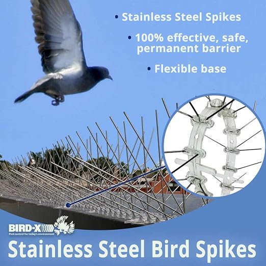 Bird-X Stainless Steel Bird Spikes, 8-inch Extra-Wide Spikes, Bird Spikes for Pigeons and Other Small Birds, Easy to Install, Contains 2 ft. Strips, Covers 24 Linear Feet Area, EWS-24
