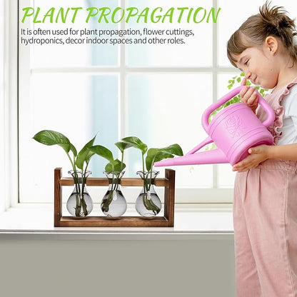 Plant Propagation Station Plant Terrarium Unique Birthday Gifts for Women | Plant Lovers Home Office Decor Planter with Wooden Stand - 3 Bulb Glass Vase