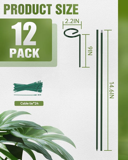12 Pack 36 Inch Plant Support Stakes for Outdoor Plants and Indoor Flowers | Includes 24 Twist Ties, Sturdy metal, Rust-proof, Adjustable height, Supports Hibiscus,Sunflower,Hydrangea,Tomato,and more